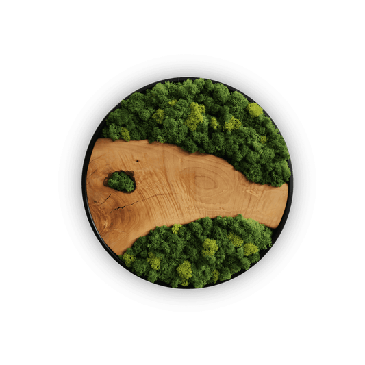 Belgrado Wall Artwork