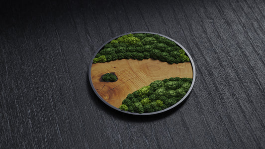 Belgrado Wall Artwork